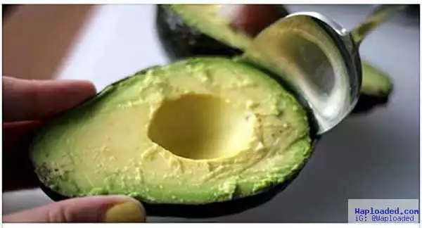 See Why You Must Eat One Avocado a Day